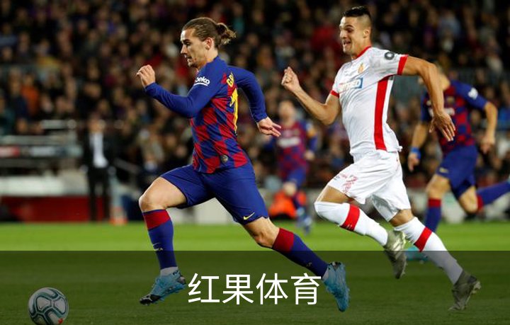 红果体育介绍